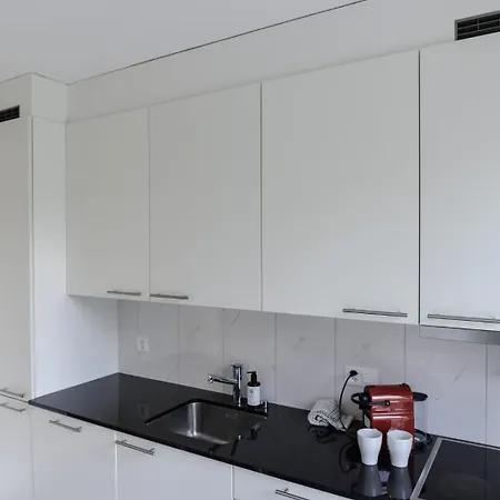 Apartament Parkside & Peaceful Near Google & Paradeplatatz Zurych