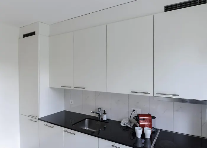 Apartman Parkside & Peaceful Near Google & Paradeplatatz Zürich